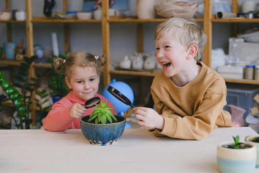 Week 7: Survival Skills & Smart Systems August 17–21, 2026